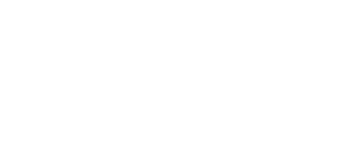 Strelka